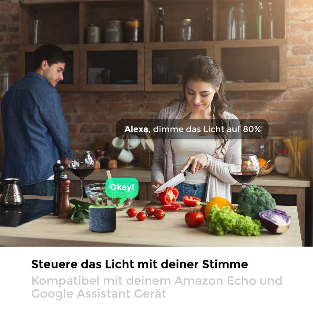 LED Smart Leuchtmittel WiFi  dimmbar Birne E14 Alexa Google 55W Smart Home 470lm Milieu-04 BKL1256